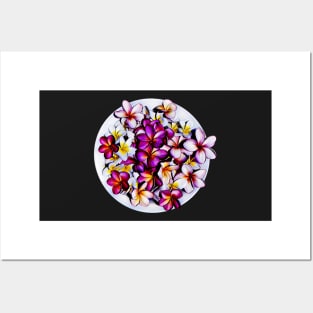 Frangipani blooms in a bowl Posters and Art